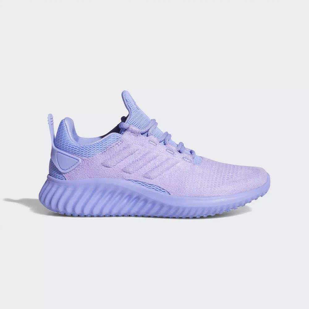 Adidas Alphabounce City Tenis Para Correr Morados Para Niño (MX-44542)